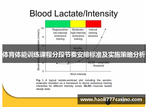 体育体能训练课程分段节奏安排标准及实施策略分析